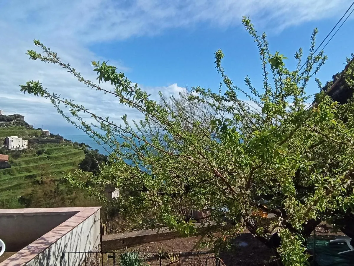 Casa Mary Amalfi Coast别墅 度假居